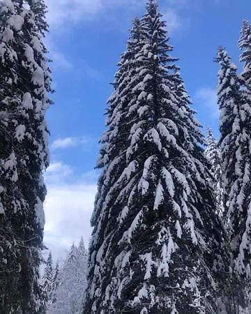 Apartment Na Taloch 107 & 108 Chopok - Juh Tale