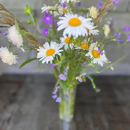 Apartamento Na Táloch 107&108 Chopok - Juh